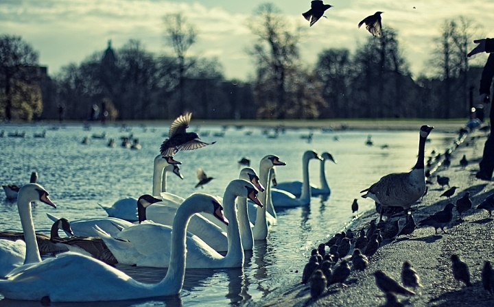 в каком лондонском парке находится уголок оратора. 9acec601364930ff396aa22d112d7ea1. в каком лондонском парке находится уголок оратора фото. в каком лондонском парке находится уголок оратора-9acec601364930ff396aa22d112d7ea1. картинка в каком лондонском парке находится уголок оратора. картинка 9acec601364930ff396aa22d112d7ea1. Уголок ораторов в Гайд-парке – известный на весь мир символ свободы слова. Тут, на северо-восточном углу парка, рядом с Мраморной аркой, почти всегда (по крайней мере, в светлое время суток) кто-нибудь выступает. в каком лондонском парке находится уголок оратора. 9acec601364930ff396aa22d112d7ea1. в каком лондонском парке находится уголок оратора фото. в каком лондонском парке находится уголок оратора-9acec601364930ff396aa22d112d7ea1. картинка в каком лондонском парке находится уголок оратора. картинка 9acec601364930ff396aa22d112d7ea1. Уголок ораторов в Гайд-парке – известный на весь мир символ свободы слова. Тут, на северо-восточном углу парка, рядом с Мраморной аркой, почти всегда (по крайней мере, в светлое время суток) кто-нибудь выступает.